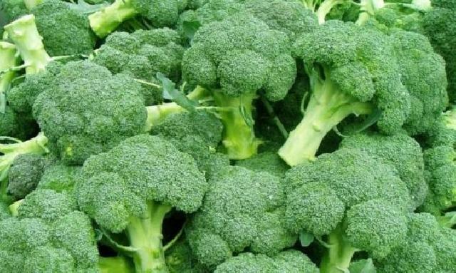Brokoli faydaları nelerdir